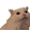 :MYAAA: