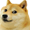 :doge: