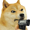 :dogegun:
