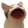 :popCat:
