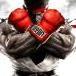 Fighter