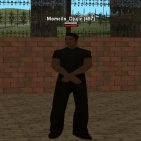 Baguvix