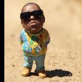 biggiejr