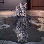 Mahir_Okic