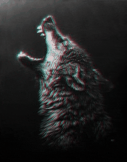 Matija_Sparic.