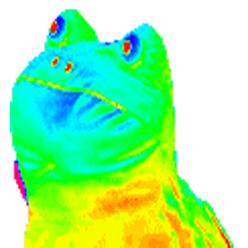 Kuzmo_Bog