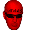 Z I C E R