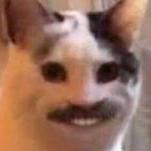 Ejeex