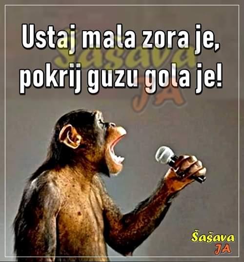 FB-IMG-1579694748726.jpg.5ec33f4e307e9ded0bd30ce80cafef3c.jpg