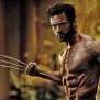 Wolverin.