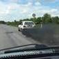 Vuk_Aleksic