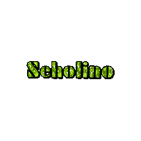 Seholino