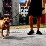 Dusan00