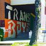 Damir_Flith