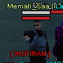 M E M A T I