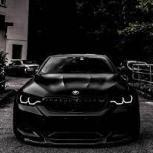 _Zabo_