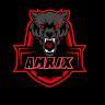 Amrix