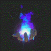 Phoenix_Cappone