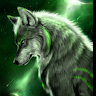 Alem_Nedimovic