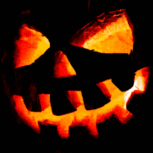 bekacx_