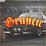 Grujicic