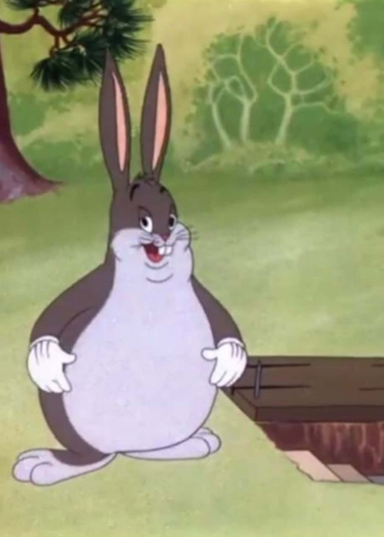 big-chungus-the-biggest-chungus-around-dperdv95gwfk531e.png