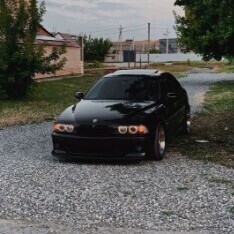 Brada