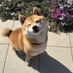 Pablo