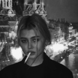Zvrk