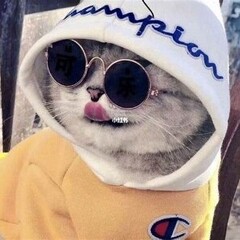 Grella_Sql
