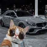 Emir_Burko