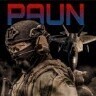Paun.