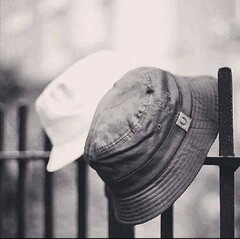 Zion