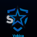 Vokica_Ilic