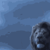 Zion