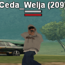 Ceda Welja
