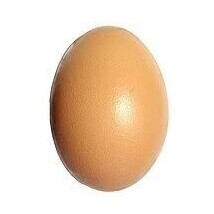 Egg