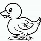 [ 𝕊𝔸 ] ● °𝔼𝕃 ℙ𝔸ℂ𝕆ℝ𝕀° ●