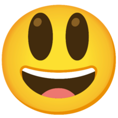 Kryszrtof_Krychowiak