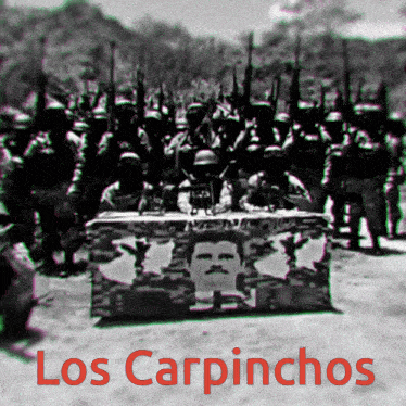 carpinchos.gif.e23c9d1e4ab39cbba063d4fd562e57ef.gif