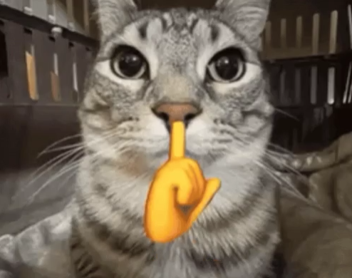 image.png.5af4a594710aa4539c43c6ee2d1f367c.png