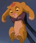 Lion_Sa