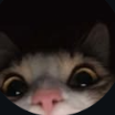 Neoof