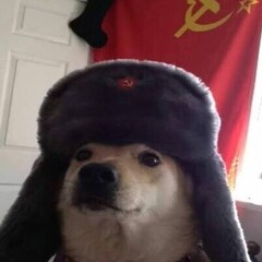 Alekool