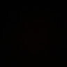 Semin_Golub