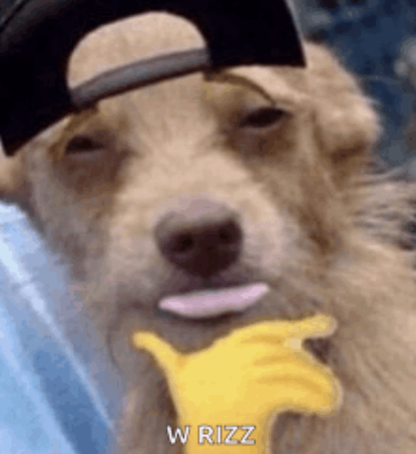 image.png.1780cb5be3cae1efda1da39b998938dd.png