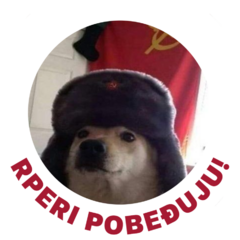 Alekool